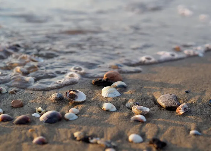 Comfortable Flat With Shared Pool Apartment